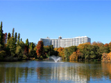 井の頭公園