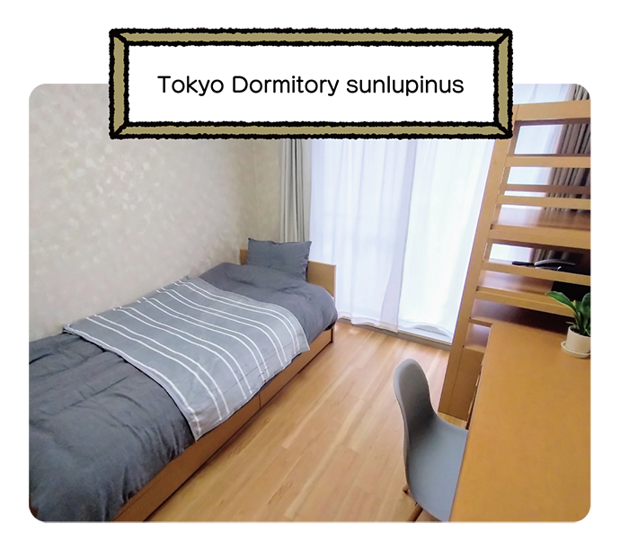 Tokyo Dormitory sunlupinus