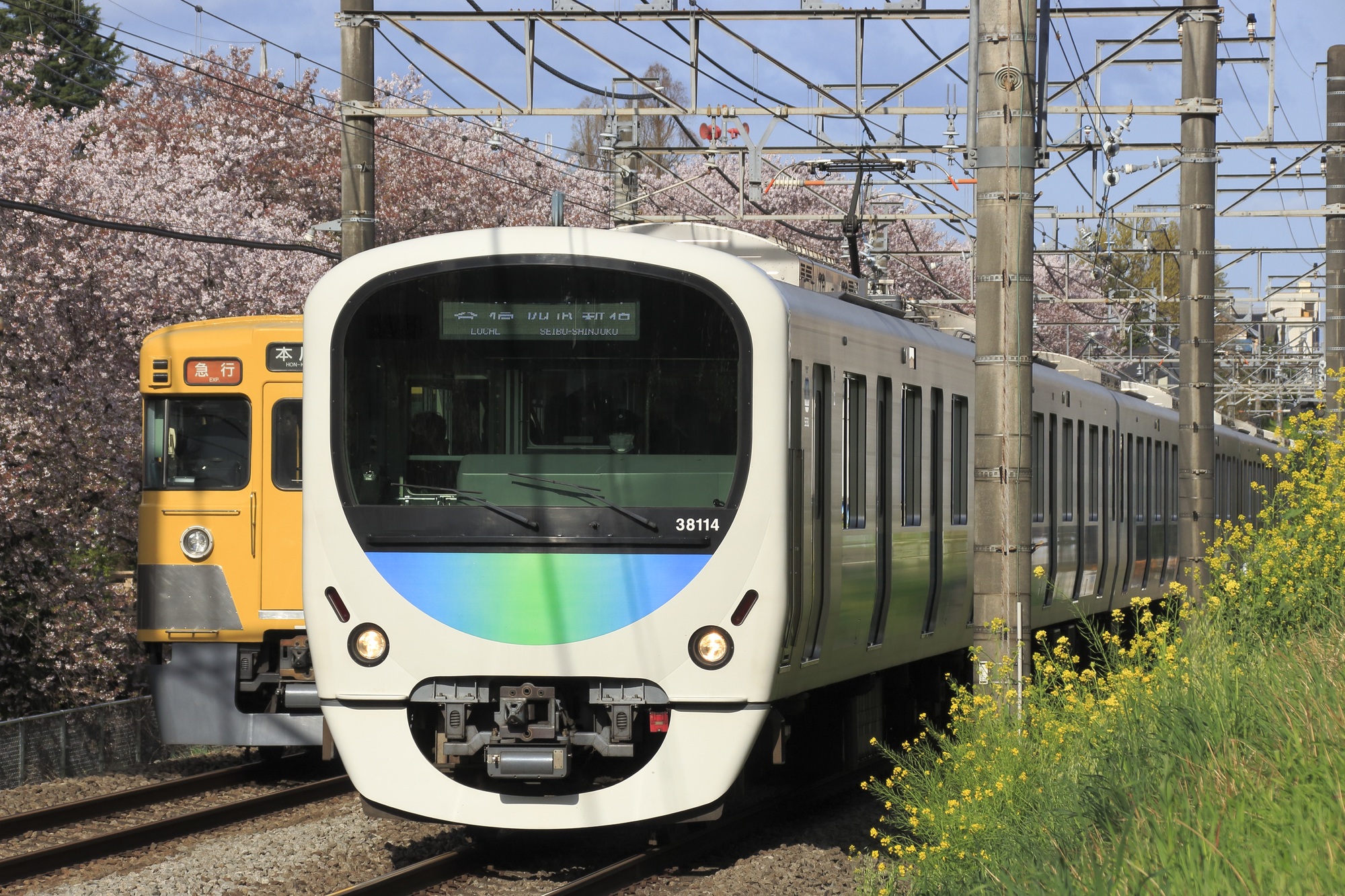 【エリアの裏技】早稲田まで30分圏内！「西武新宿線エリア」が圧倒的にコストパフォーマンスがよい理由