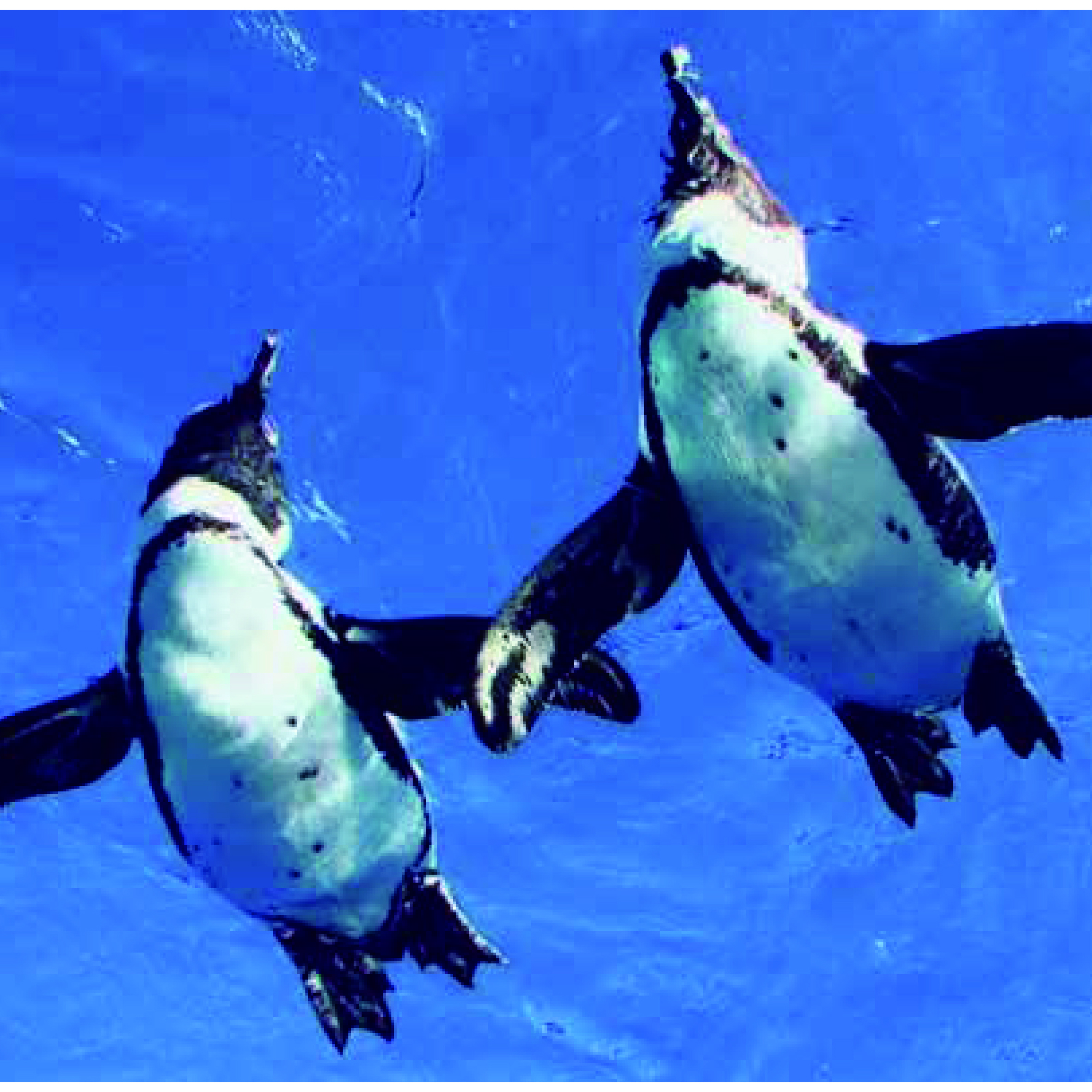 サンシャイン水族館ご招待イベントを開催しました！