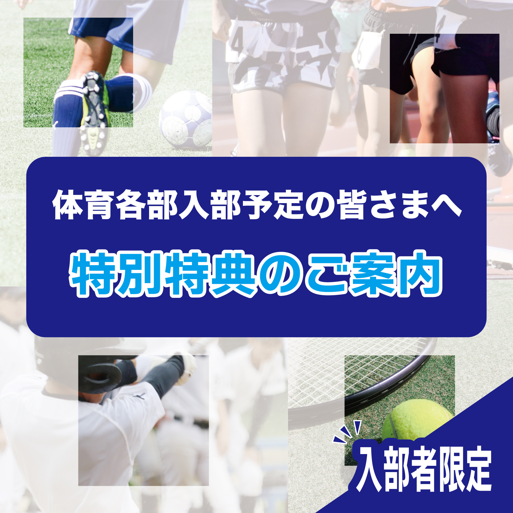 「体育各部入部者限定」特別特典のご案内