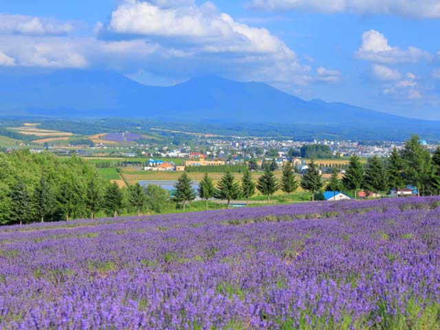 １位　北海道