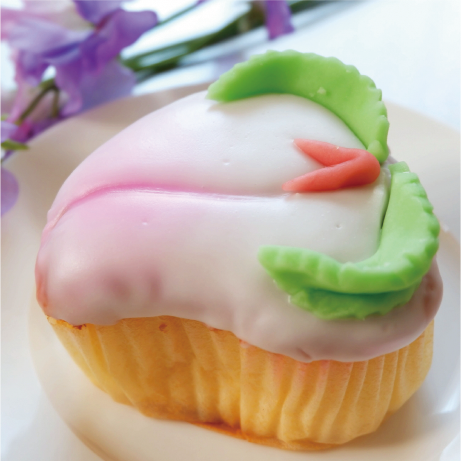 日本テレビ『ZIP！』が撮影に来ました📺